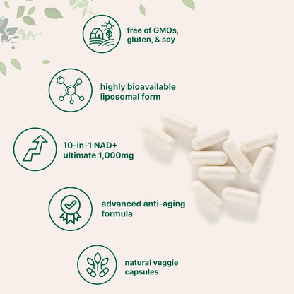 Elvra Liposomal NAD+
